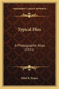 Typical Flies