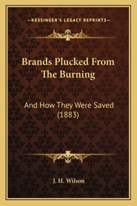 Brands Plucked From The Burning