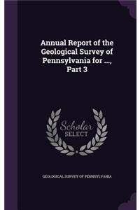 Annual Report of the Geological Survey of Pennsylvania for ..., Part 3