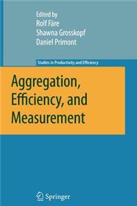 Aggregation, Efficiency, and Measurement