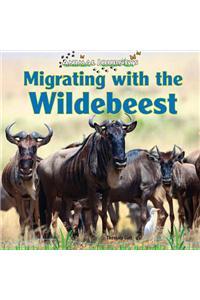 Migrating with the Wildebeest