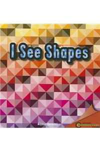 I See Shapes