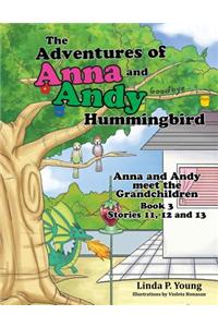 The Adventures of Anna and Andy Hummingbird: Anna and Andy Meet the Grandchildren, Book 3 Stories 11, 12 and 13