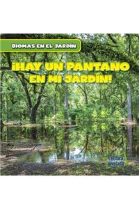 Vivo Cerca de Un Pantano (There's a Swamp in My Backyard!)