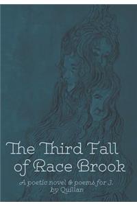 The Third Fall of Race Brook