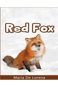 Red Fox