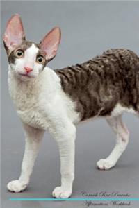 Cornish Rex Affirmations Workbook Cornish Rex Presents