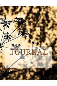 Journal