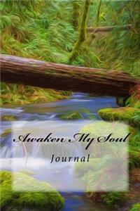 Awaken My Soul