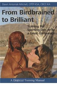 From Birdbrained to Brilliant