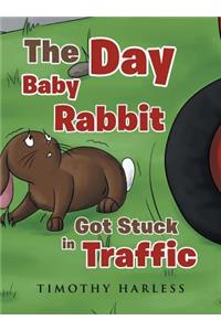 The Day Baby Rabbit Got Stuck in Traffic