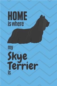 Home is where my Skye Terrier is