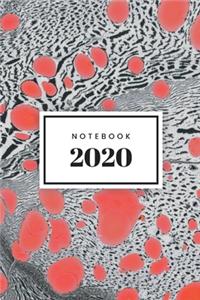 NOTEBOOK 2020 - Ruled Notebook Journal, 120 Pages, Classic Ruled Premium Notebook, Matte Cover Finish, Writing Note Taking Diary, Lined Journal (6in x 9in - 15.24cm x 22.86cm)