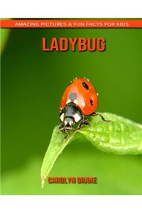 Ladybug
