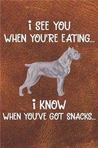 I See You When You're Eating I Know When You've Got Snacks Notebook Journal