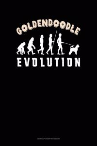 Goldendoodle Evolution