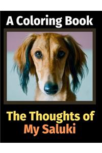 Thoughts of My Saluki