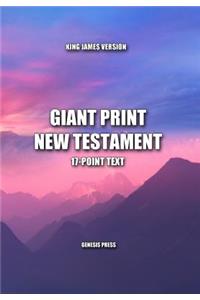 Giant Print New Testament, 17-Point Text, King James Version