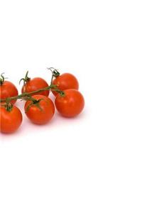 Tomatoes Tomato Fruit Salad Vegetable Garden Organic Permaculture Healthy Living