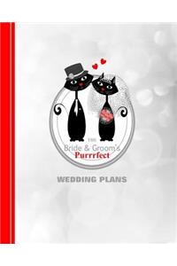 Bride & Grooms Purrrfect Wedding Plans