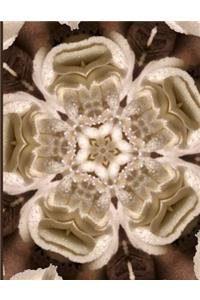 Fractal Photo Art Notebook