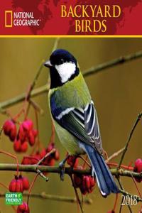 National Geographic Backyard Birds 2018 Wall Calendar