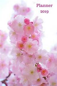 Planner 2019