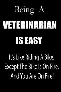 Being a Veterinarian Is Easy