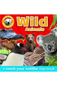 Peek-A-Boo - Wild Animals: A Teach Your Toddler Flap Book