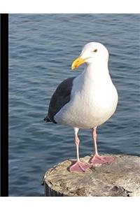 Western Gull Seagull Circle Graph Paper Composition Notebook