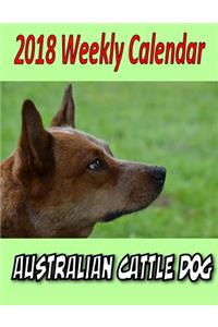 2018 Weekly Dog Calendar Australian Cattle Dog
