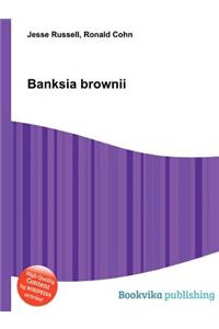 Banksia Brownii