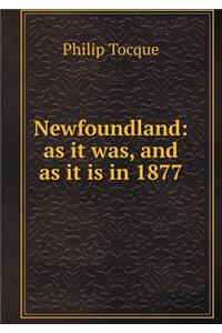 Newfoundland
