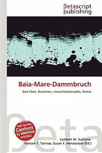 Baia-Mare-Dammbruch