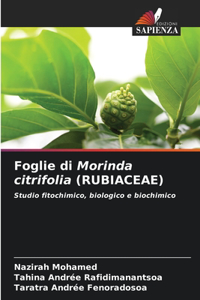 Foglie di Morinda citrifolia (RUBIACEAE)