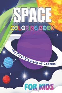 My First Big Book of Cosmos