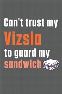 Can't trust my Vizsla to guard my sandwich