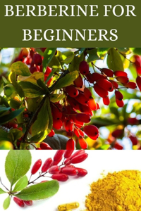 Berberine For Beginners 2024