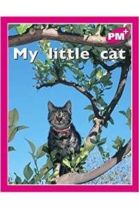 My little cat