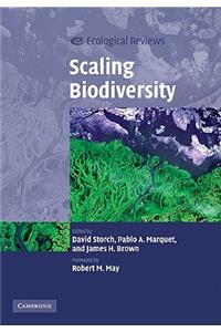 Scaling Biodiversity