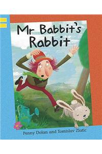 Mr Babbit's Rabbit
