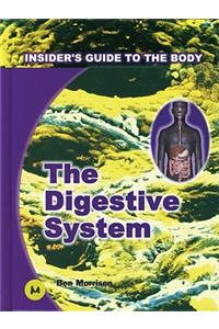 Digestive System