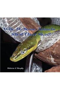 Why Do Some Animals Shed Their Skin?