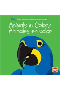 Animals in Color / Animales En Color