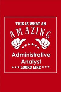 This is What an Amazing Administrative Analyst Look Like