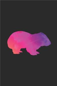 Wombat Space Silhouette