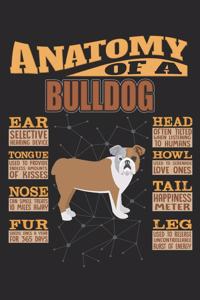 Anatomy Of A Bulldog