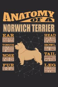 Anatomy Of A Norwich Terrier