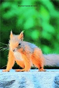 Écureuil Carnet de notes