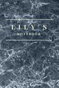 lily's Notebook